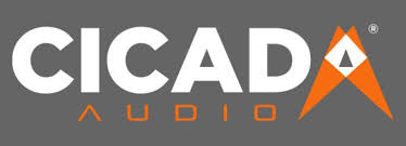 Cicada